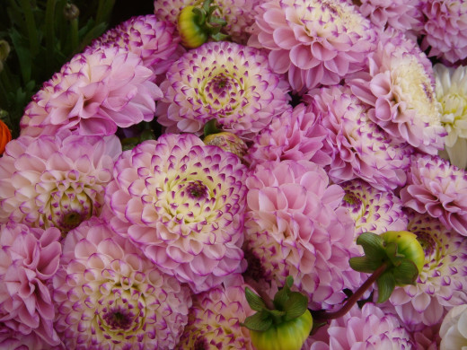 427911 (a): :1600x1200
